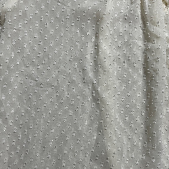 Zara Women’s Ruffled Swiss Dot Semi-Sheer Shirt - Size M - Picture 8 of 14